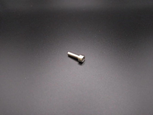 WANDLER Elektroroller - Innensechskantschraube M4x12 für die Sattelstütze